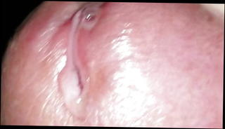 Video 1571105711: dripping gay, dripping precum, licking precum