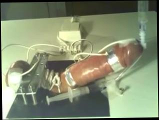 Video 181035904: milking machine, machine bondage, gay bdsm