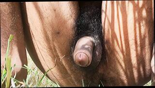 Video 1624116831: gay uncut boys pissing, gay solo cumshot compilation, uncut cum close solo, hairy pissing gay, solo piss masturbation, hairy uncut guy, solo piss play, hot solo compilation, hairy men solo, mature solos compilation, hairy man solo, pissing gay porn boys, masturbation indian boy solo, pissing young gay boy, desi boy solo, hd hot porn compilation, hottest cumshot compilation, cum filled hairy, younger hairy, india solo