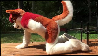 Video 1230026435: machine fucking solo, dildo fucking machine, dildo machine gay, solo male dildo, furry dildo