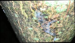 Video 1664836271: pov cumshot creampie, pov creampie cum, amateur pov creampie, creampie pov hd, creampie solo, cum close solo wank, solo jerk cumshot, pov handjob cumshot, solo jerk gay, creampie cum load, thick creampie cum, solo outdoor cum, latino creampie