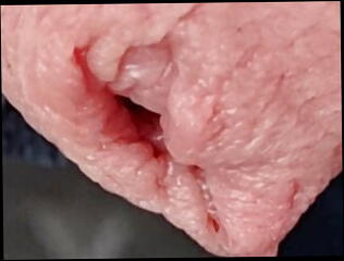Video 1576820061: big cock handjob masturbation, gay big cock masturbate, cock big dick gay, amateur big cock handjob, big cock male masturbation, gay man big cock, cock latino gay, amateur masturbation hd, big cock close
