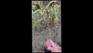 Video 1656736423: amateur solo handjob cumshot, solo jerk cumshot, solo male jerking, quick jerk