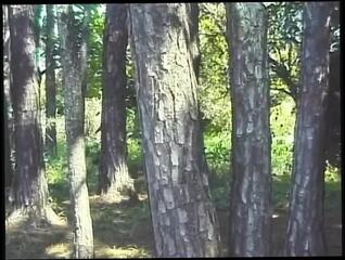 Video 1657451241: twink bareback doggy, bareback anal doggy, twinks bareback cumshot, bareback twink gay, twink barebacking outdoors, behind cum, pounded cum, cum loving, bad anal