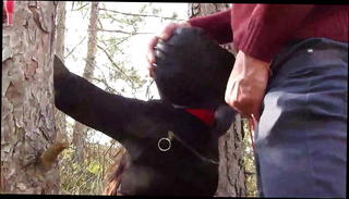 Video 1567680991: bound ball gagged, bound gagged teen, bondage ball gag, throated gagged balls deep, amateur deep throat gagging, gagging deep throating cocks, bound cock sucking, blowjob deep throat gag, amateur bondage sex, outdoor bondage sex, bondage straight, masked bound, dress bound, bound black, gagging heel, outside bondage, public gagging, amateur teen blowjob, sucking one cock, amateur high heels, sexy tied