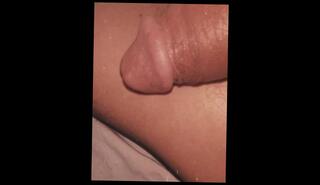 Video 1610799053: twerks jerks solo, big dick solo jerk, big cock solo jerk, ass jerks solo, solo amateur jerking, amateur solo porn, big twerking black ass, solo male jerking, 60fps amateur, kissing