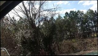 Video 1662907383: milf interracial pov, amateur latin milf pov, pov anal interracial, pov solo girl, ebony milf interracial, solo male pov, mature milf interracial, interracial pov big, big dick interracial anal, amateur milf public