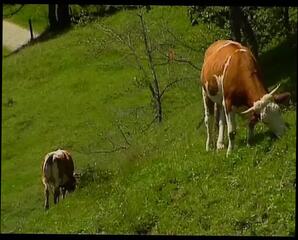 Video 1634097491: doggy style orgy, retro orgy, hairy orgy, sucking dick fucked doggy, whore fucked doggy style, fuck hard missionary doggy, doggy fucks big boobs, slut fucked hard doggy, doggy style sex action, doggy style hardcore action, babe fucked hard doggy, blowjob fucked hard doggy, doggy style fucking amateur, german hardcore blowjob doggy, brunette babe fucked doggy, hot orgy action, doggy style fucking harder, amazing doggy style fuck, fucked doggy style outdoors, hottest amateur doggy style, doggy style straight, orgy cumshots, massive orgy, biggest orgy