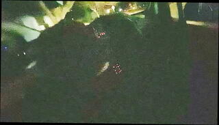 Video 1589825615: sloppy blowjob cum swallow, car blowjob cum swallow, sucking cum swallow, mouth cum swallow, slurps swallows