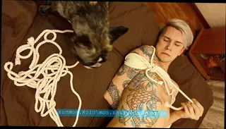 Video 1577904591: gay twink boy bondage, skinny gay twink boys, rope bondage sex, skinny big cock twink, skinny amateur twink, skinny tattooed twink, bondage hot twink, bondage joi, twink boy toy, twink gay hunks, twink sex hd