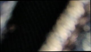 Video 1623891955: delicious whore, big ass
