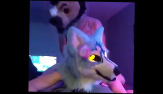 Video 980595385: gay furry, gay group, fucking