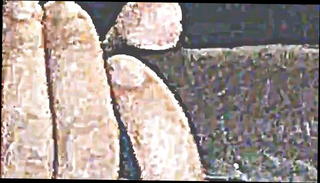 Video 1571258111: long bbc, gay long dick, eating dick