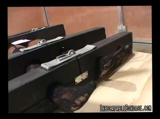 Video 47139904: foot fetish bdsm, bondage virgin, feet, sexy damsel, sexy struggle