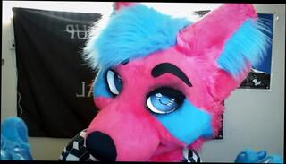 Video 1109242203: furry vore, furry solo, vore fetish, amateur solo female