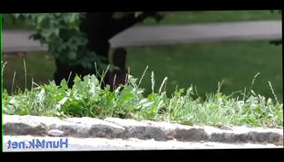 Video 1371109385: blonde teen cuckold, hardcore cuckold, cuckold blowjob, lusty girlie, lusty sucking