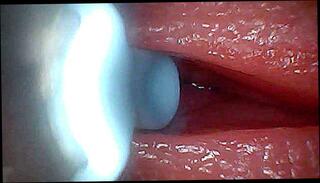 Video 1654936831: bdsm pov sex, cbt bdsm, cock pov homemade amateur, homemade pov deep throat, cumshot pov homemade, sexy amateur pov, hot pov deep throat, hd pov deep throat, bdsm teacher, pov ejaculation, bdsm sexual, pov cumshot close, japanese bdsm sex, female pov cumshot, straight bdsm, cbt fantasy, penis sperm, funny sexy homemade, sperm inside, croatian cock, penises