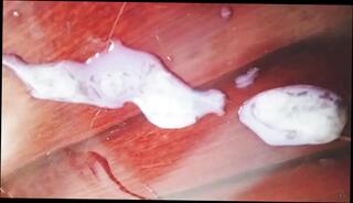 Video 1664944011: crossdresser sissy anal solo, indian sissy femboy crossdresser, twink femboy crossdresser, gay sissy boy crossdresser, amateur teen sissy crossdresser, sissy femboy sucking, sissy crossdresser homemade, crossdresser femboy masturbation, femboy sissy cumshots, solo straight twink, mature crossdressers sissys, young sissy femboy, sissy boy gay sex, twink boys nude gay, twink boy friend sucking, gay twink boys first, teen seduces stepdad, twink sucks daddy, twink boy handjob, student solo masturbation, korean sissy boy, twink boy step son, sissy first time anal, sissy teacher, guy suck crossdresser, men solo boys, pakistani twink gay, amateur spanish twink, gay twink arab, solo masturbation close, twink sex hd, twink sauna, pakistani teen 18 sex, father step son gay, vietnamese boy