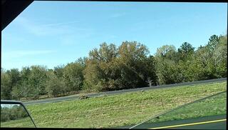 Video 1665187293: pov interracial amateur, pov amateur solo, solo male pov, pov german amateur, amateur ebony solo, amateur mature solo, korean solo male, solo male public, italian interracial, czech interracial, brazilian interracial, interracial indian