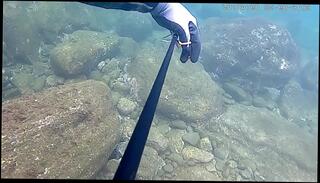 Video 440287325: hot woman solo, hot asian solo, solo japanese