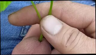 Video 1596184533: hentai solo, solo anal masturbation, gay anal solo, amateur solo anal, amateur hentai asian, solo male anal, amateur russian solo, indian hentai, french hentai
