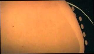 Video 178369304: hairy amateur natural, big natural tits hairy, hardcore hairy, hairy blowjob, great hairy