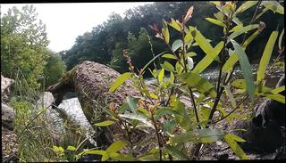 Video 1663909241: solo gay boy masturbates, solo boy big cock, solo masturbation nude, amateur solo boy, solo boy stroking, solo outdoor masturbation, solo public masturbation, solo masturbation hd, caught jacking