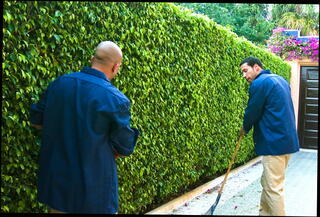 Video 57756604: veronica rayne, vibrator inserted, vibrator self, toy panties, vibrator pleasuring, naughty toys, little toy, toy hd