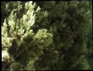 Video 1585475351: milf cunnilingus, big tits milf pornstar, big tit milf facial, milf big tits blowjob, milfs big tits wet, big tits redhead milf, hot milf big tits, milf tits outdoors, straight milf, hot american milf, milf high heels, hot girl bj, girl nice tits, knees bj, guy nice tit