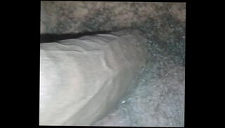 Video 1224507065: gay balls, huge balls