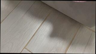 Video 1654263793: solo milf masturbates pussy, amateur milf solo masturbation, milf dirty talk joi, hot solo milf masturbation, sexy milf joi, big milf tits joi, milf solo orgasm, big ass milf solo, solo female joi, homemade sexy amateur milf, solo girl masturbation orgasm, amateur milf homemade hardcore, boobs milf masturbating talking, student solo masturbation, wet pussy solo masturbation, big boob milf handjob, jerk instructions