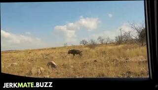 Video 1666781465: deep throat doggy style, cock deep doggy style, hard cock doggy style, hardcore doggy style big, doggy style outdoors, mature doggy style, deep blowjob anal sex, teen anal sex, african anal sex, anal car sex