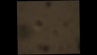 Video 1429001415: slut milks cock, whore milks, milk came, amateur cheating girl, amateur girl friend