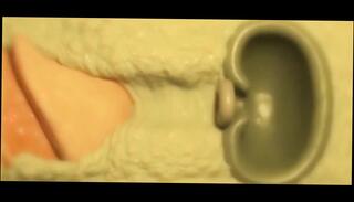 Video 1656283101: 3d anime sex, hd 3d animation, 3d mommy, nude anime, anime straight, thick anime