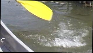 Video 1545513101: outdoor sex cum, straight cum, public outdoor cum, hungarian cum, public sex european