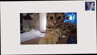 Video 1580778173: lucy cat, hairy pussy compilation, hentai bisexual, hairy pussy japanese babe, amateur hairy pussy, eating pussy compilation, tight hairy pussy, babes compilation pmv, face hairy pussy, erotic