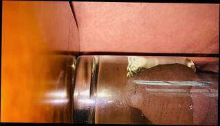 Video 1664781123: solo big dick cum, solo orgasm cum, horny amateur solo, solo babe cum, solo big dick cumshot, solo male cum, solo female cum, solo horny brunette, arab solo