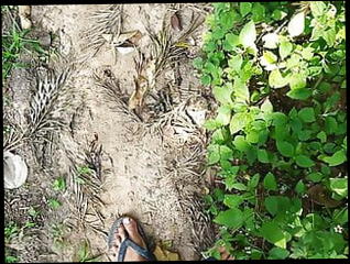 Video 1577213911: tiny cock, tiny black cock, indian sex, mans cock, man gay