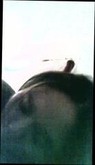 Video 235671001: girl suckin dick, latin blowjob cumshot, hot dick girl, blowjob brunette cumshot, blowjob cumshot hd, cumshot straight, hot mexican girl