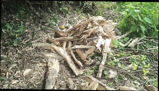 Video 1654794261: massage banged, massage gay sex boy, sexy gay boys bang, massage boy fuck, indian gay massage sex, hindi massage sex, massage hot boy, gay men massage, hd massage fuck, massage fucks big, banging masturbation, bang college, gay sex locker