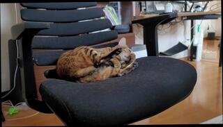 Video 1580492203: hairy pussy foot, hentai foot, sexy foot licked pussy, girls lick hairy pussies, girl masturbating hairy pussy, hairy pussy ass licked, hairy wet pussy masturbation, hairy amateur masturbates, lick eat foot, hairy pussy public