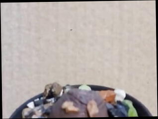Video 1600791641: cumshot masturbation gay solo, solo handjob cumshot, cock solo cumshot, solo fantasy masturbation, small cock solo, solo masturbation hd, solo touch, small dick cum