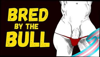 Video 1654782593: amateur pov, furry play, male furry