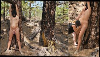 Video 1611692433: bondage slave femdom domination, bdsm bondage slave femdom, milking cock bdsm fetish, female domination bondage bdsm, cbt femdom bdsm, bound bdsm fetish, dominated slave sex, femdom milking handjob, femdom dominates spanks, bound slave ass, femdom fuck slave, amateur bdsm slave, bdsm bondage orgasm, cbt outdoor slave, cock milking blowjob, milking cock cum, cock milking cumshot, woman amateur bondage, tie milking cocks, woman dominates man, british femdoms cock, public bdsm outdoor