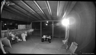 Video 1598546155: caught, sucking dick deep throat, suck cocks open, sucking good dick, sucking fat cock