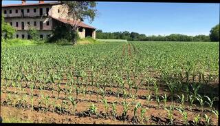 Video 1664982841: milf homemade amateur pov, milf wife pov, big ass milf pov, milf anal pov, milf pov sex, hot milf pov, milf wife amateur couple, wife outdoor amateur milf, italian amateur milfs anal, pov hard anal sex, dick anal pov, pov raw anal, pov car sex, hard rough sex pov, pov public sex, anal pov hd, pov straight, wife takes anal