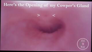 Video 1626083691: sissy crossdresser piss, fetish crossdresser sissy, crossdresser sissy sounding urethral, sissy crossdresser cum, sissy crossdresser ladyboy, sissy crossdresser shemale, sissy crossdresser homemade, sissy crossdresser cock, amateur sissy crossdresser, girl fetish pov, young sissy crossdresser, sissy crossdresser big, dick pissing cumming, pov german amateur, pov hd amateur, pissing insertion, prostate, strap