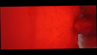 Video 1635886145: amateur pussy, brown pussy