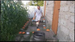 Video 1657277913: foot ball, amateur foot, knees balls