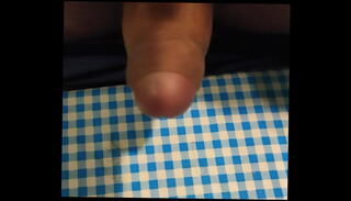 Video 1535659585: amateur shemale masturbating, amateur gay masturbation, trans masturbation